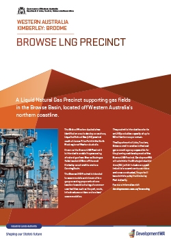Browse LNG Precinct Project Summary